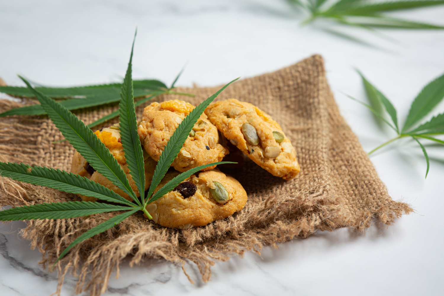 Canna Cookie – Best Cookies for Sale Online Brix Carlisle