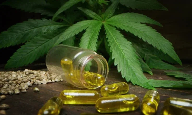 The Science of Purity An Amazing Guide to Cannabis Extraction
