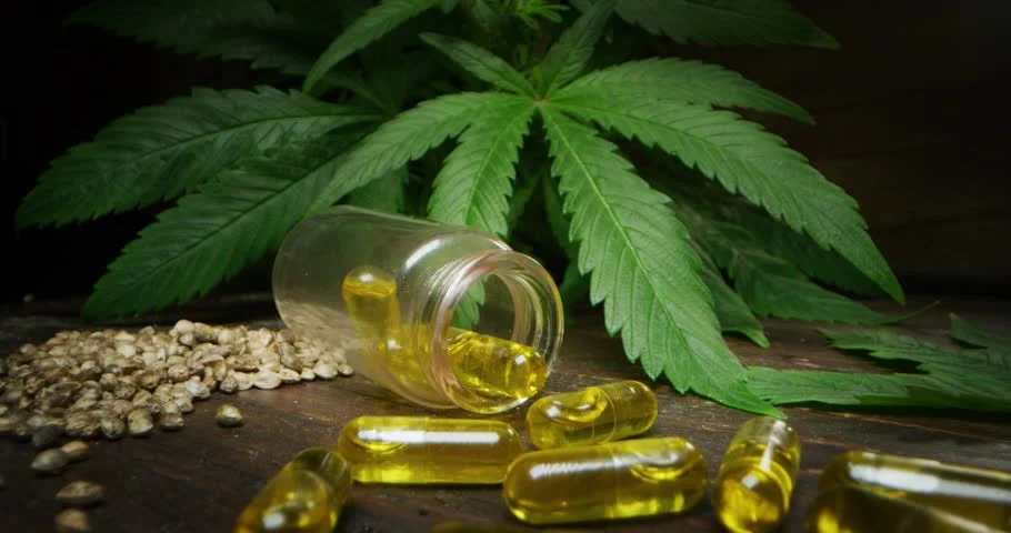 The Science of Purity An Amazing Guide to Cannabis Extraction